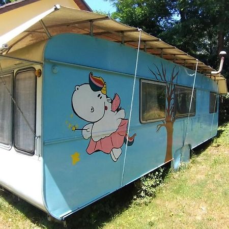 Erlebe Unseren Verein Im Geraeumigen Wohnwagen! Feldkirchen bei Graz Bagian luar foto